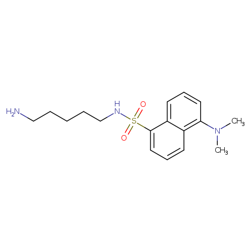 10121 91 2 MFCD00042704 1 Naphthalenesulfonamide N 5 Aminopentyl